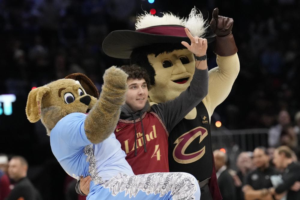 案例分析显 案例分析显